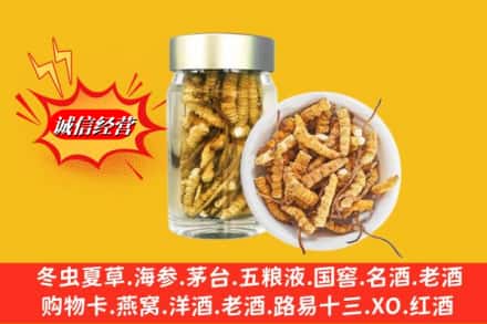 天津市武清回收散虫草