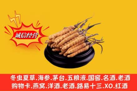天津市武清名酒回收冬虫夏草.jpg